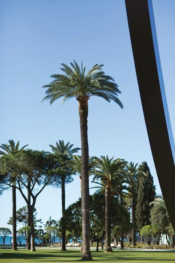 Grand H -f2, Face Vieux- Nice, Terrasse, Ascenseur, Climatisation, Terrace - Center Appartamento Nizza